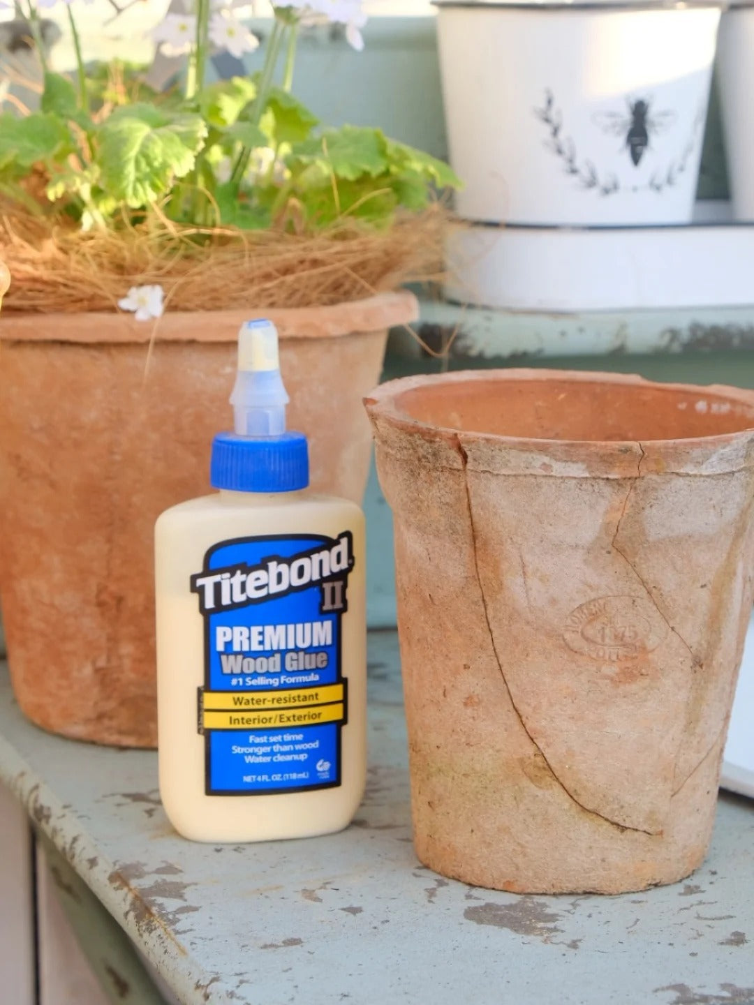 Fix Your Broken Planter the Safe Way: Toxin-Free Tips for Home & Garden