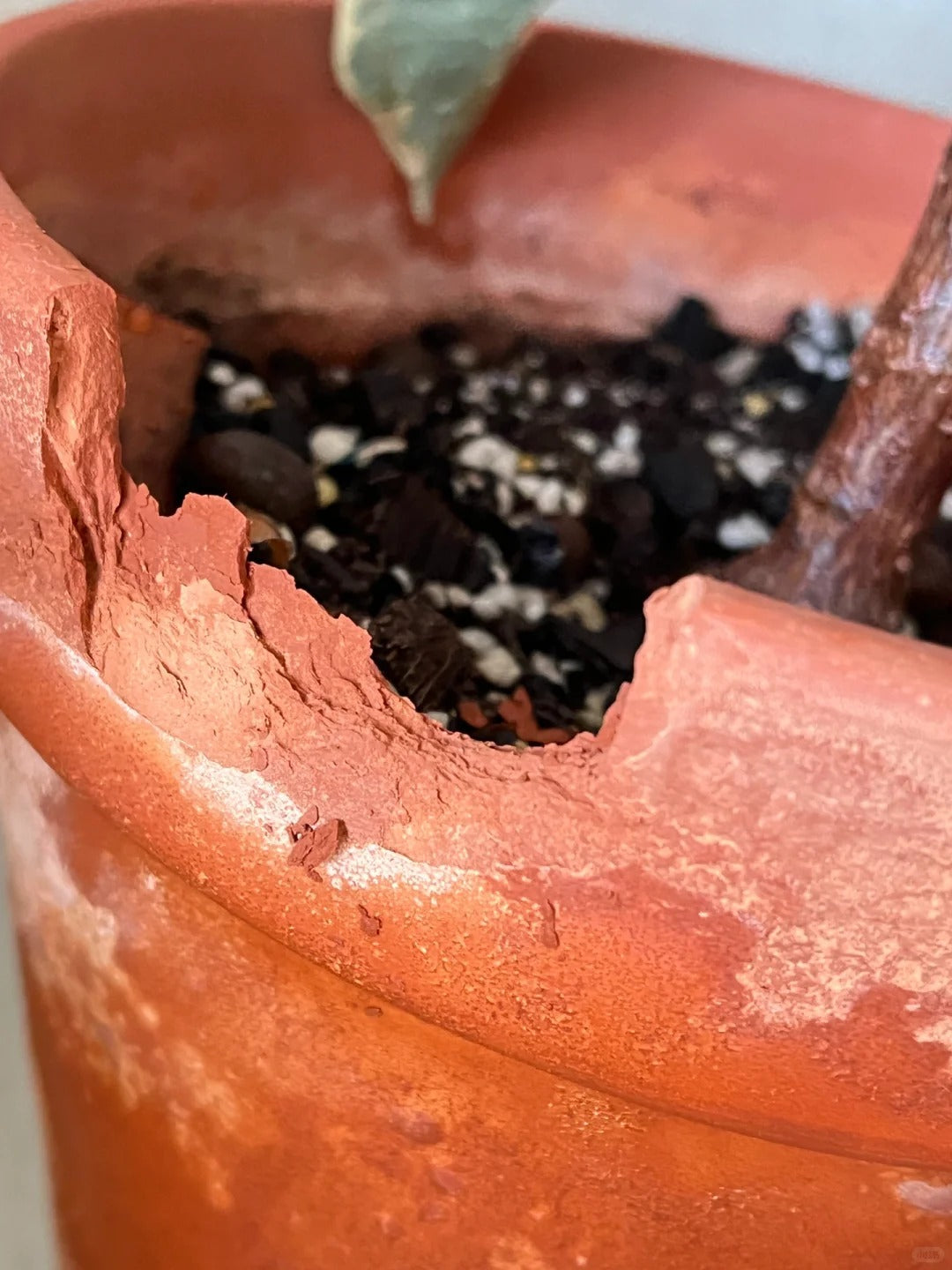 Why Terracotta Pots Flake and Weather: The Science of Clay Planters