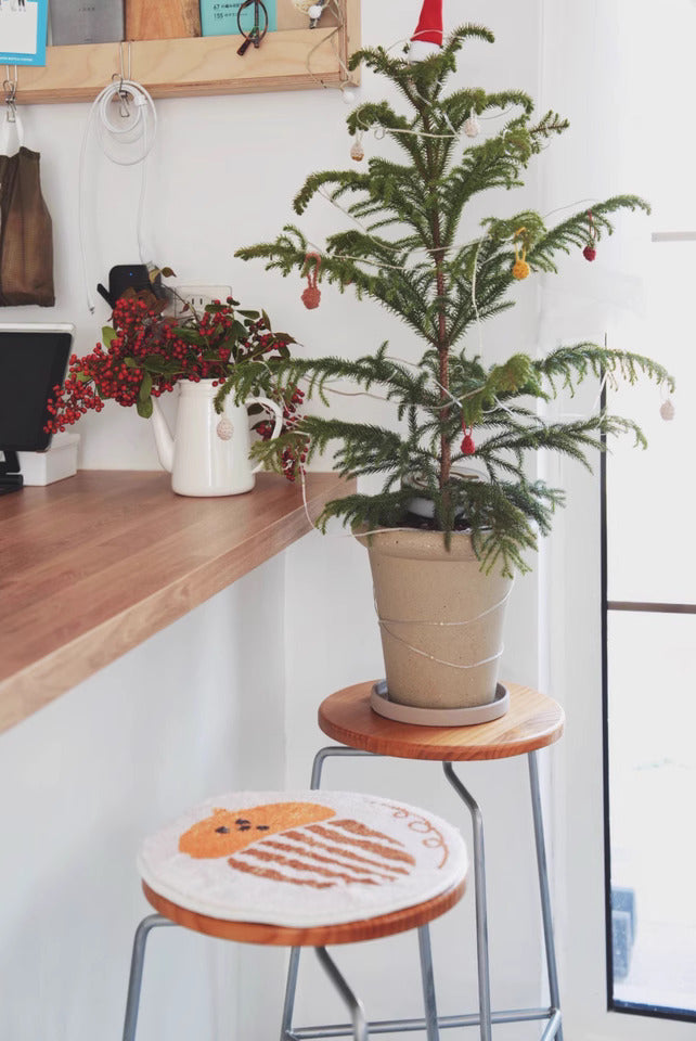 Medium terracotta clay planter with drainage hole holding a small Christmas tree in a cozy café corner, perfect for studio plant styling