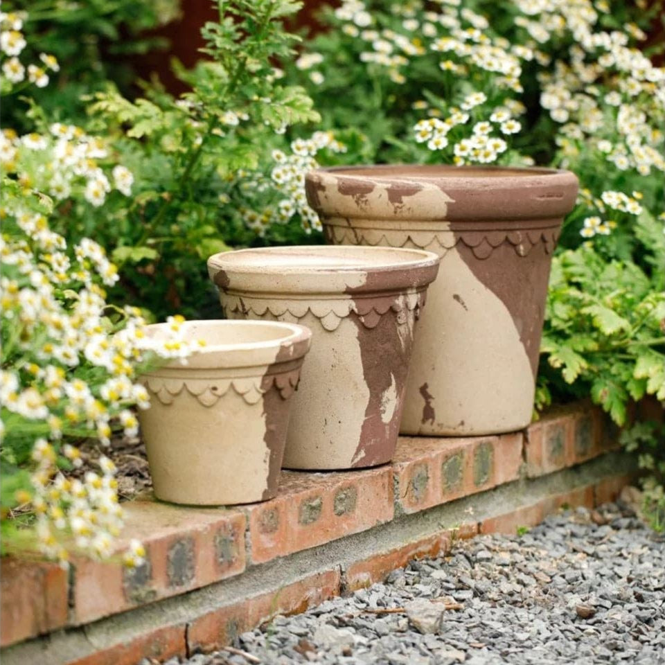Set of small, medium, and large terracotta clay planters in brown and white tones, placed in a garden with daisies, ideal for houseplant and outdoor styling