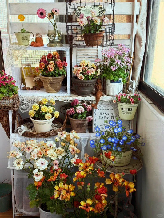 How to Create a Budget-Friendly Home Garden (And Avoid Common Mistakes)