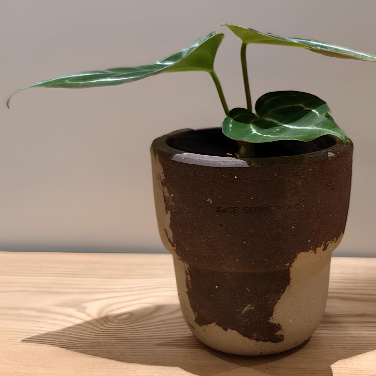 4-inch marbled carry cup stoneware pot with earthy tones, featuring a small indoor plant. Adds a rustic, natural accent to any decor.