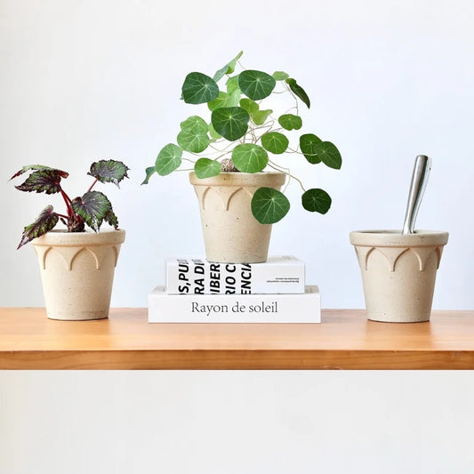 Crown planter Set