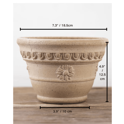 7-inch white sculpted clay flower pot with floral detailing. A durable, earthy-toned planter perfect for small to medium indoor plants.