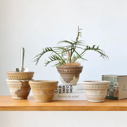 Sculpt Planter