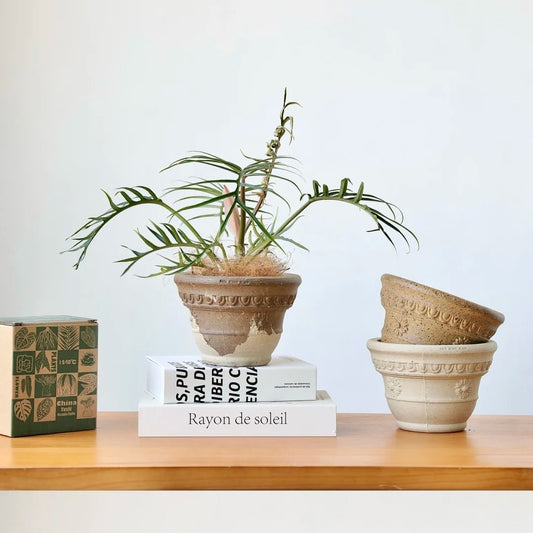 Sculpt Planter