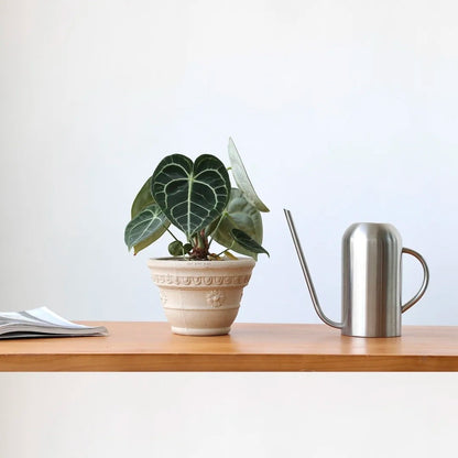 Sculpt Planter