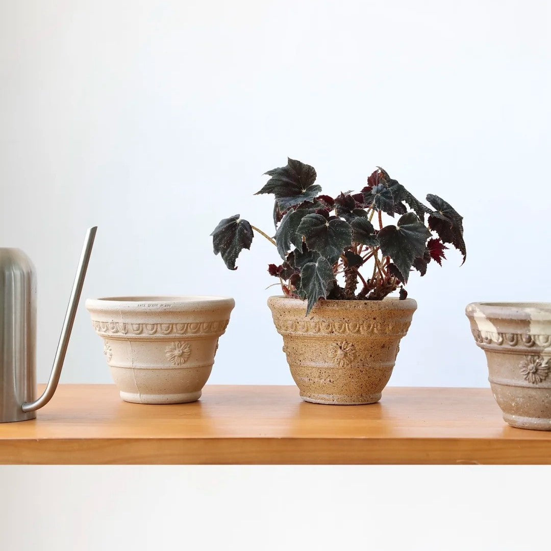 Sculpt Planter
