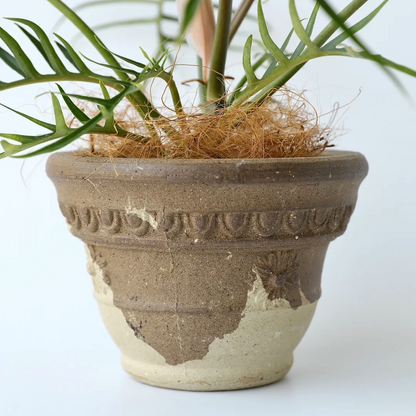 Sculpt Planter
