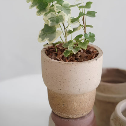 Tiny 4-inch carry cup clay pot in earthy beige and sand tones, perfect for small plants or succulents. Adds a subtle, natural touch to minimalist decor.