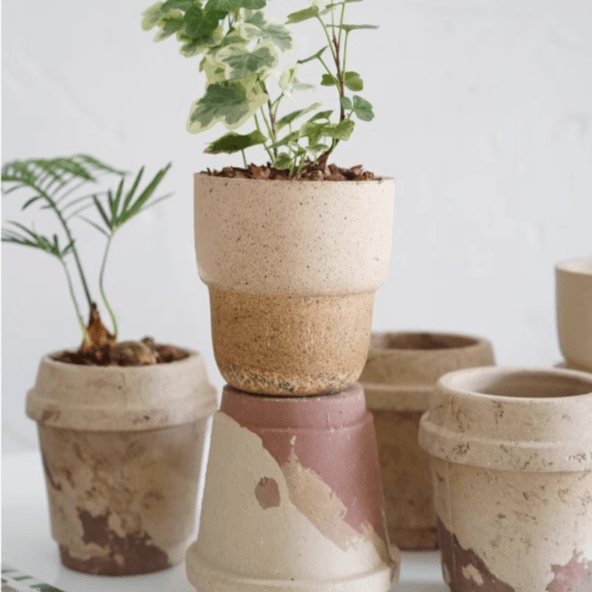 Collection of tiny 4-inch carry cup clay pots in mixed earthy tones, ideal for succulents and small plants. Perfect for a minimalist, natural decor style.