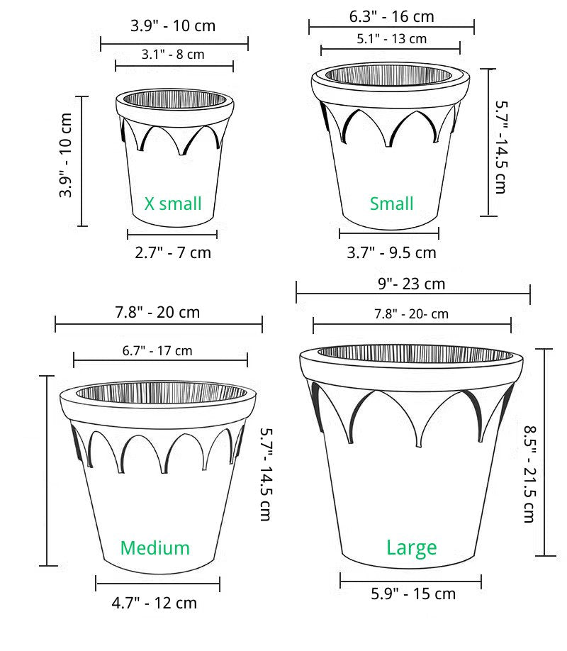 Crown planter SetClaywares