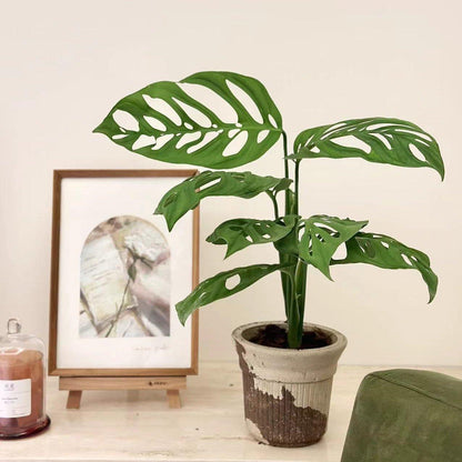 5-inch latte-colored Brûlée cup earthenware pot with ribbed texture and cocoa accents, featuring a vibrant Monstera plant. Adds natural charm to indoor spaces.