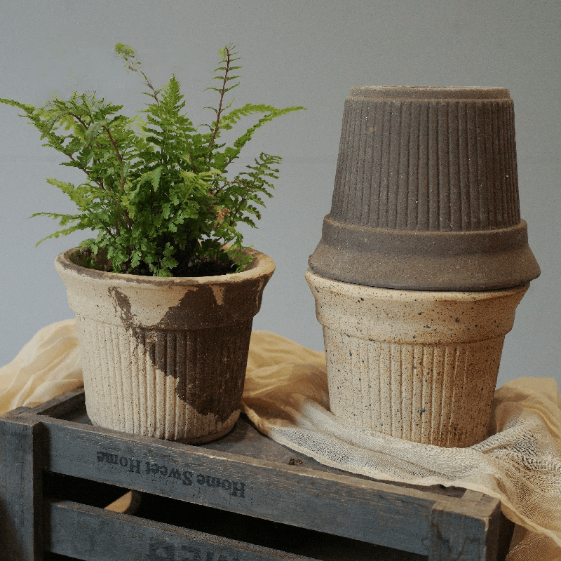 5-inch latte-hued Brûlée cup clay flower pots with grooved patterns in beige and cocoa shades, holding a fern. Perfect for indoor settings.