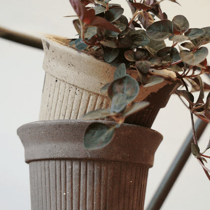 Stacked 5-inch Brûlée cup stoneware pots in cocoa and latte shades with ribbed detailing, holding a vibrant houseplant. Ideal for cozy interiors.