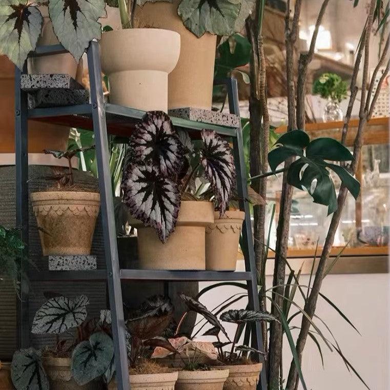 Assortment of terracotta clay planters on display shelf, various sizes and earthy tones; rustic ceramic pots for indoor greenery, natural decor charm.