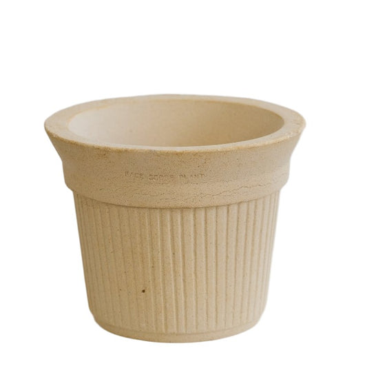 Brulee Cup planter -Elizabeth (white)Claywares