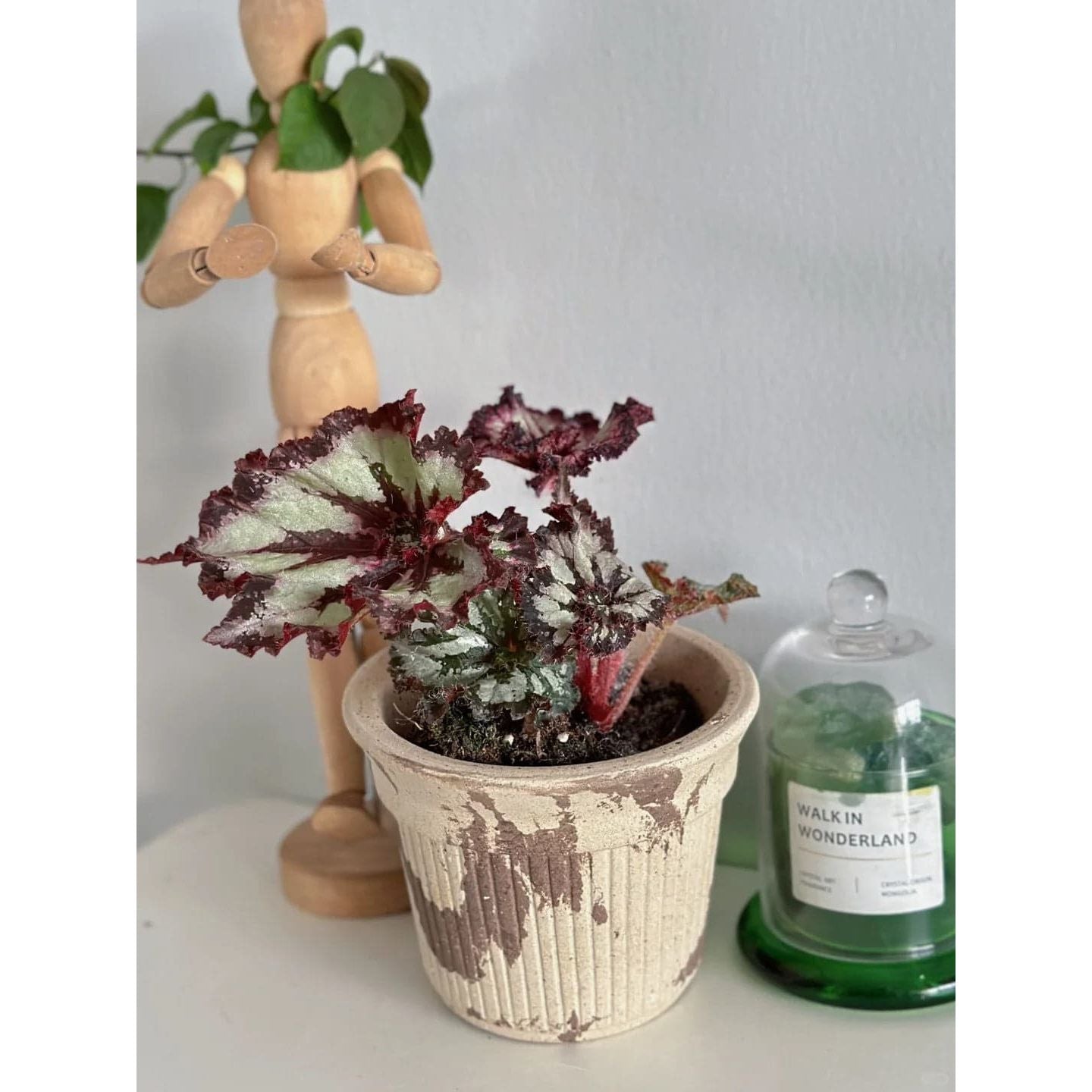 Brulee Cup planter -White Russian (blend)Claywares