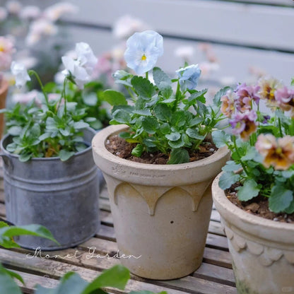 Crown Pot planter - Elizabeth(white)Claywares